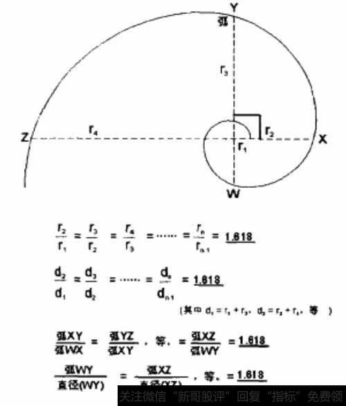 金螺线的直径和半径的关系