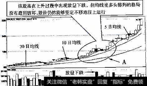 鑫富药业(002019)2007年1月8日~2007年3月21日的日K线走势图