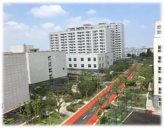 霄云湾内部的跑步道 霄云湾内部的跑步道