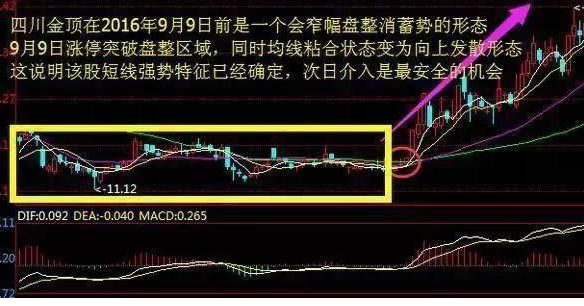 如何捕捉黑马股票1.png 如何捕捉黑马股票1.png