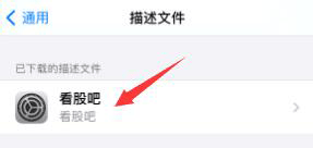 苹果版APP 安装教程4 